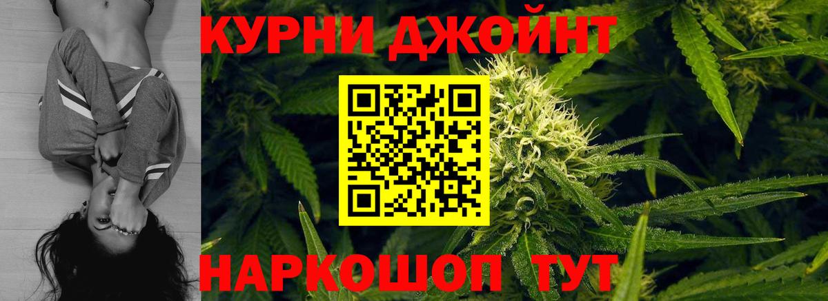 Бошки марихуана индика  Каннабис план  Вход с VPN  Волжск  Конопля OG Kush 